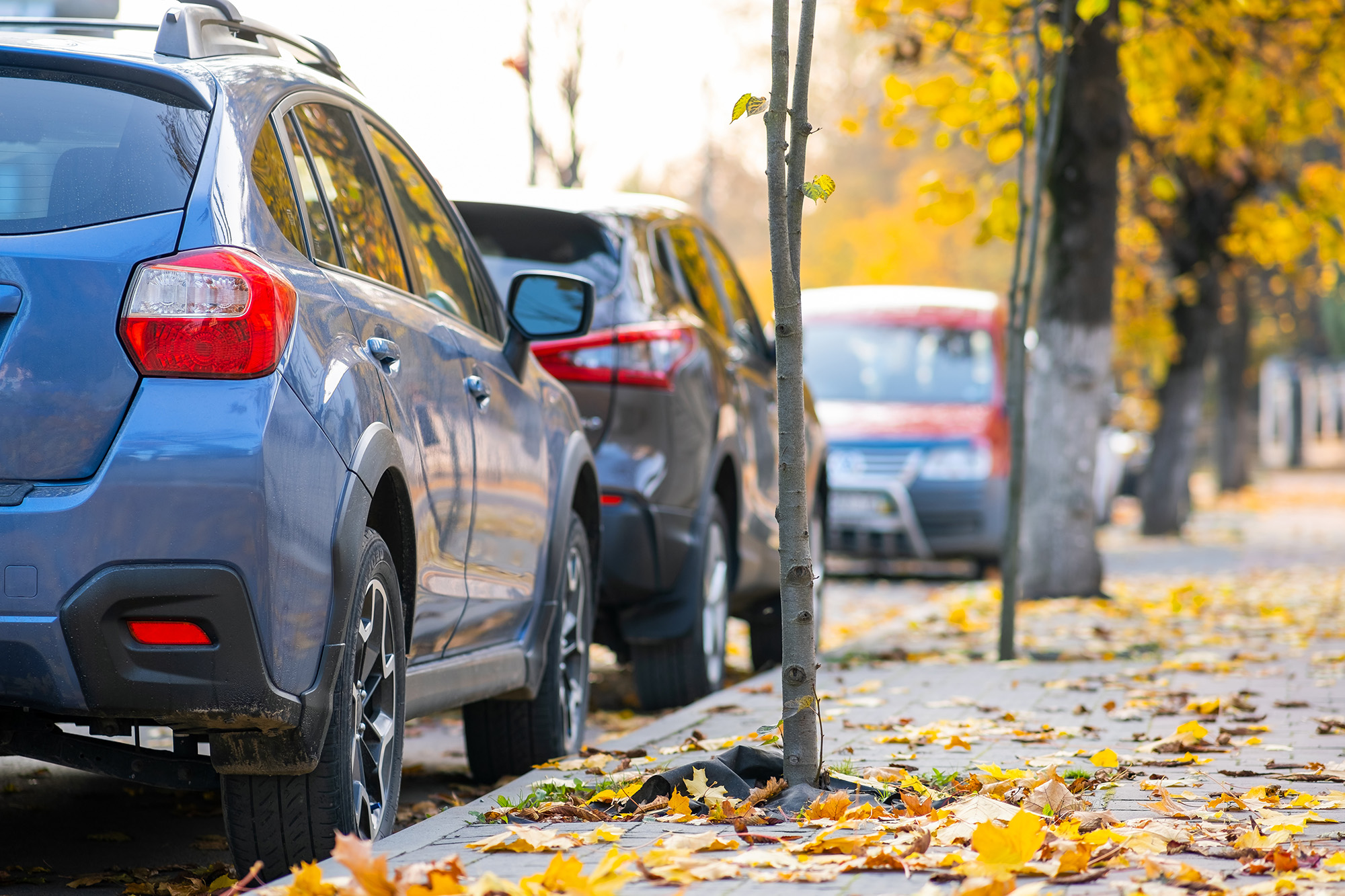 A photo of cars parked on a street in autumn.