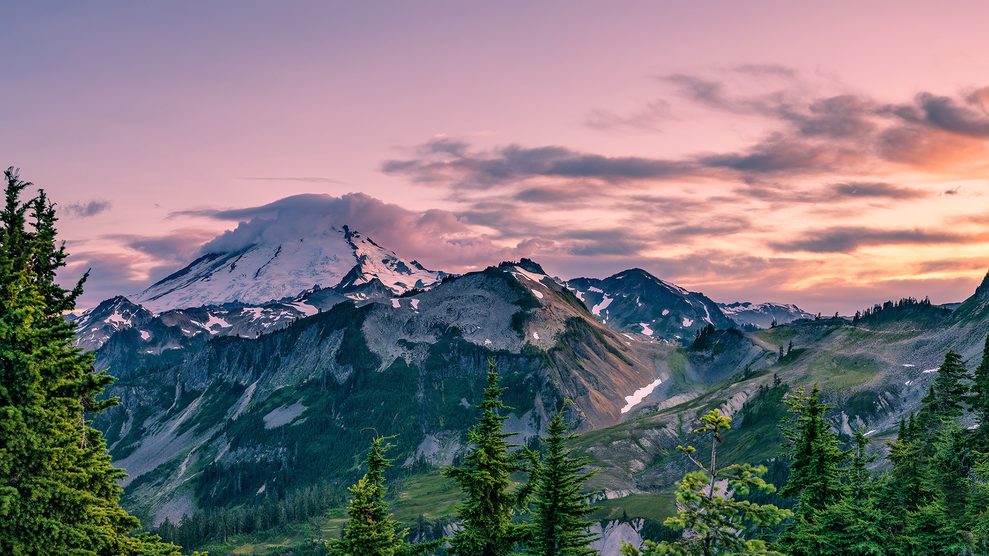 Beautiful sunset photo of Mount Baker in the trees.